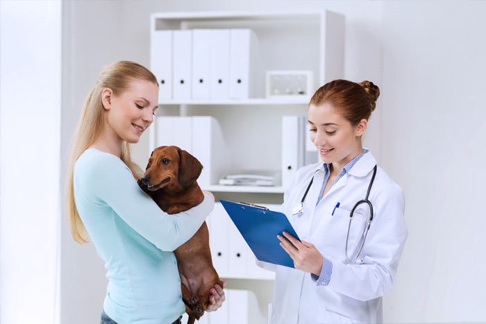 ЭЦП для оформления ветеринарных сертификатов (ГИС Меркурий) в Стерлитамаке